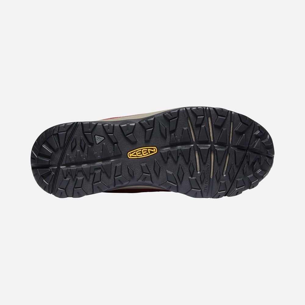 Keen Vinterkängor Dam Röda - Terradora Ii Waterproof - 358047KAI
